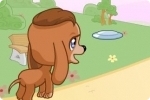 Hunde Spiele
