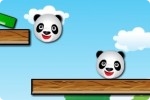 Amis du panda